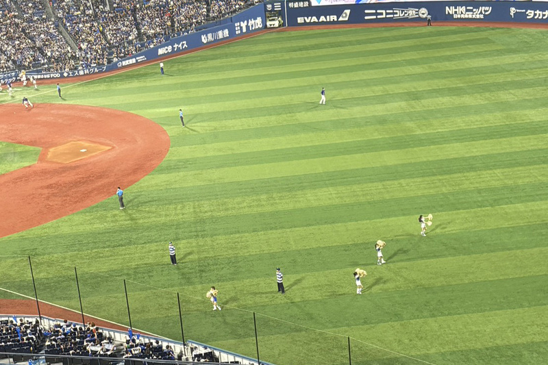 ybs04.jpg